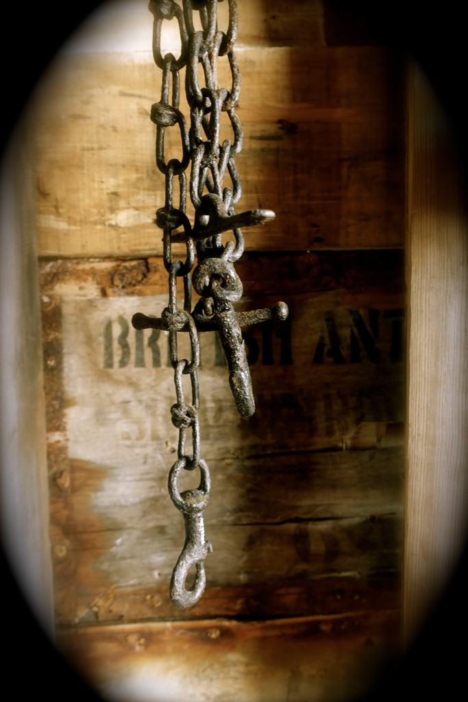 Chain used to tether the dogs.